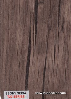 Ebony Sapia-T20